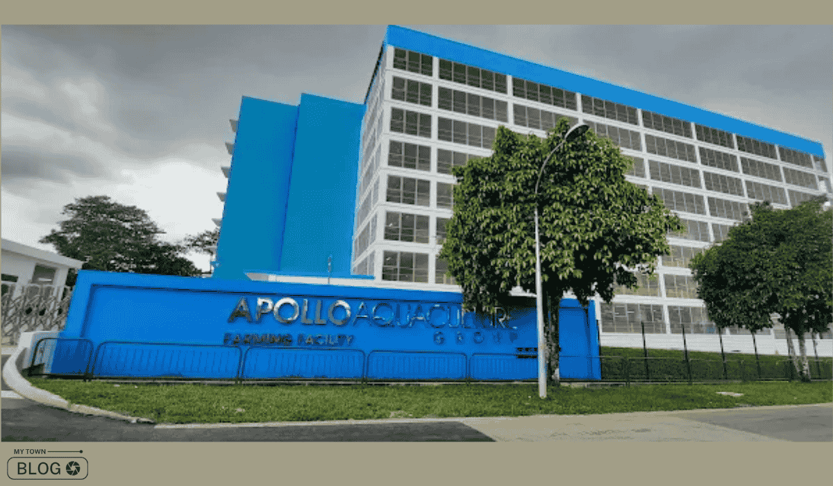 The Best Fish Farm Singapore in 2025