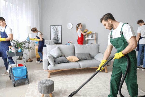 Best Carpet Cleaning Services in Singapore 2025