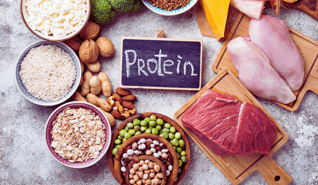 High Protein Meals
