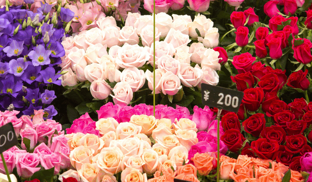 Best flowers market​ in Chandigarh