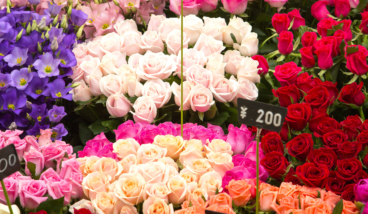 Best Flowers Market in Chandigarh: A Paradise for Flower Lovers