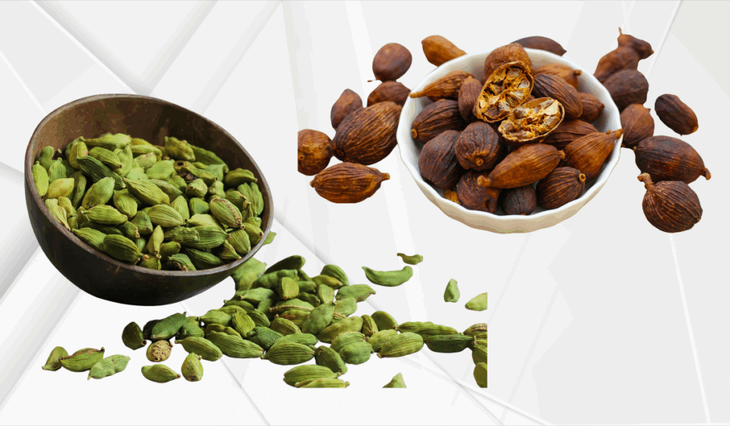 black vs green cardamom