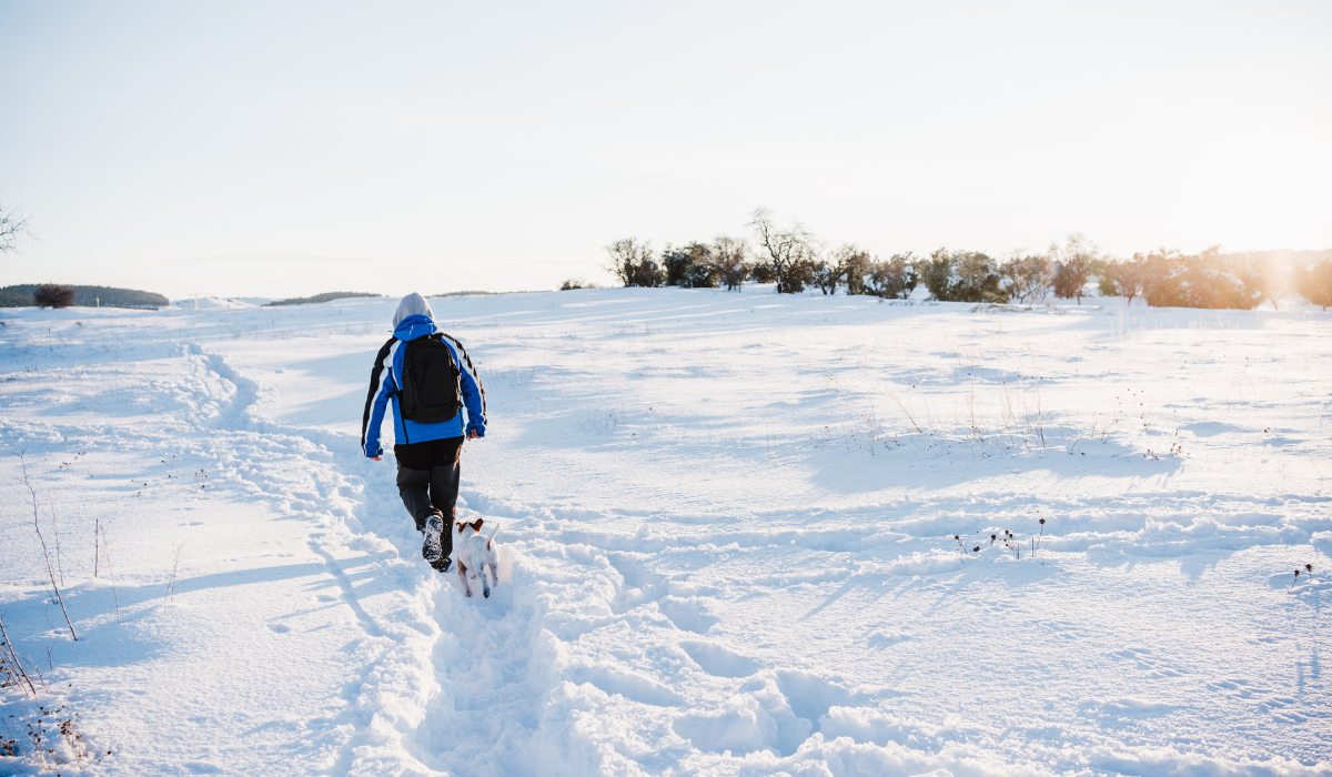 9 Best Winter Treks in India (December to February)